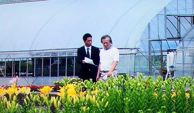 フジテレビ系 ドラマ「HEAT(ヒート)」|小川農園で撮影
