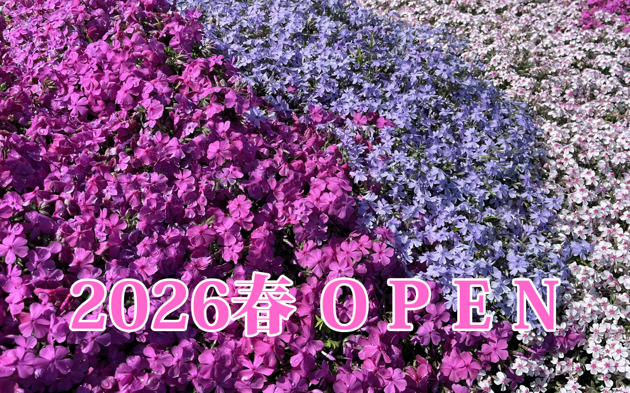 花畑で、自分で摘み取りできる小平市「小川農園」
